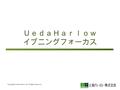 Copyright(C) Ueda Harlow Ltd. All Rights Reserved. ＵｅｄａＨａｒｌｏｗ イブニングフォーカス.
