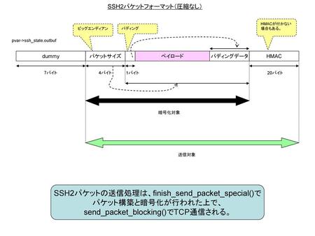 SSH2パケットの送信処理は、finish_send_packet_special()で パケット構築と暗号化が行われた上で、