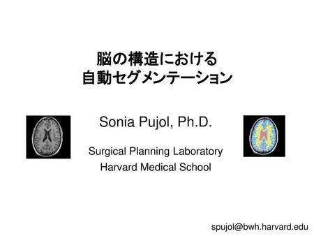 Sonia Pujol, Ph.D. Surgical Planning Laboratory Harvard Medical School