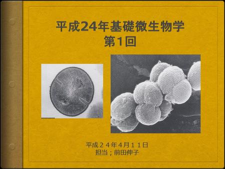 平成24年基礎微生物学 第１回 平成２４年４月１１日 担当；前田伸子.