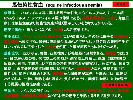 馬伝染性貧血 (equine infectious anemia) お