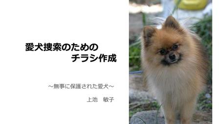 愛犬捜索のための 　　　　　チラシ作成 　　　～無事に保護された愛犬～ 上池　敏子.