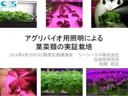 アグリバイオ用照明による 葉菜類の実証栽培