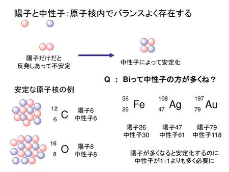 Fe Ag Au C O 陽子と中性子：原子核内でバランスよく存在する Q : Biって中性子の方が多くね？ 安定な原子核の例 陽子だけだと