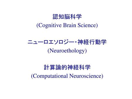 (Cognitive Brain Science) ニューロエソロジー・神経行動学 (Neuroethology) 計算論的神経科学