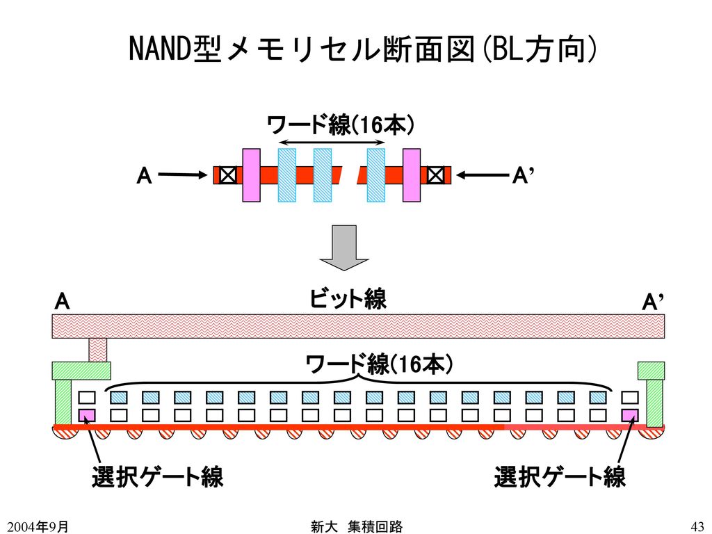 NAND型メモリセル断面図(BL方向) ワード線(16本) A A’ A ビット線 A’ ワード線(16本) 選択ゲート線 選択ゲート線