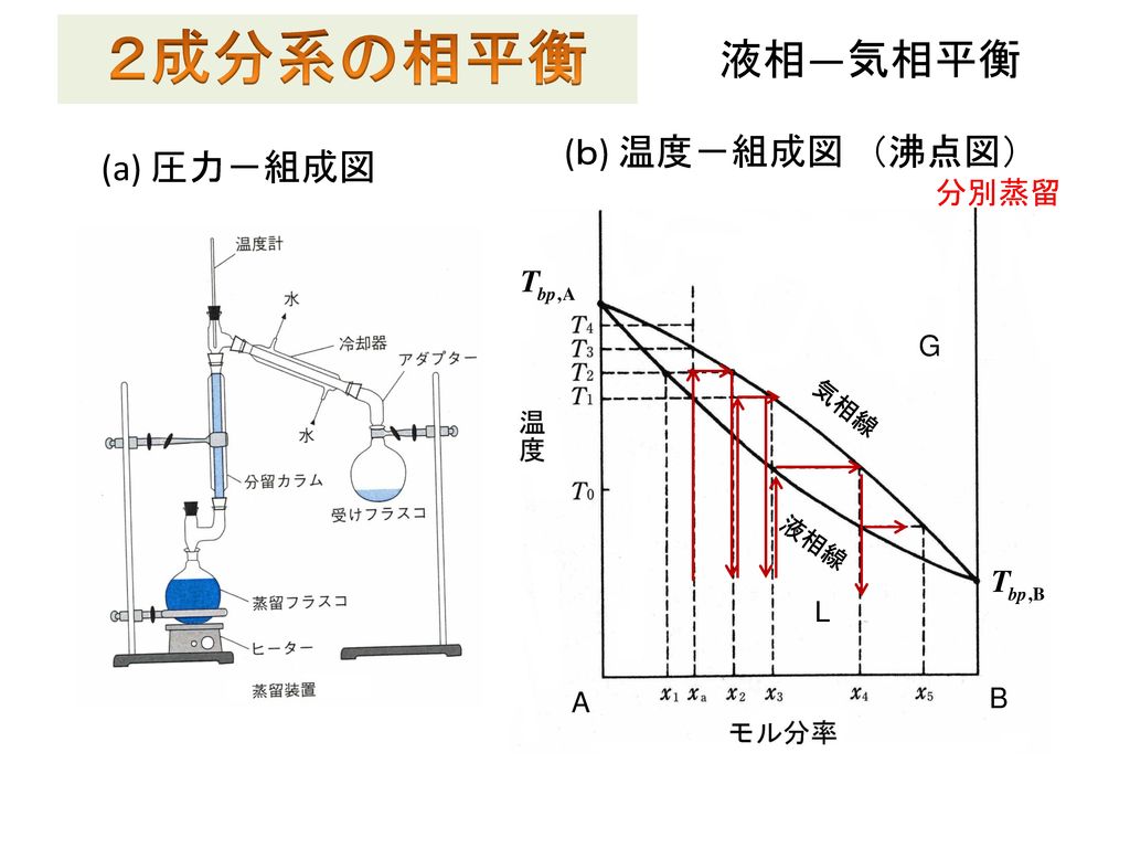 ２成分系の相平衡 液相―気相平衡 (ｂ) 温度－組成図 （沸点図） (a) 圧力－組成図 分別蒸留 L G G A B L B A 液相線