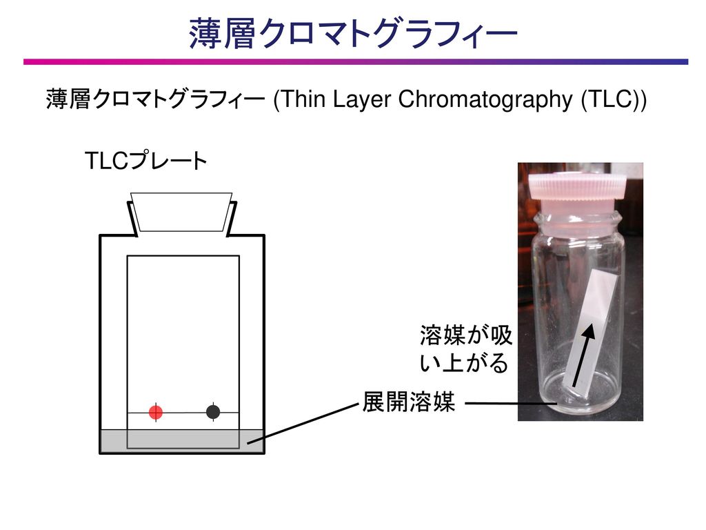 薄層クロマトグラフィー 薄層クロマトグラフィー (Thin Layer Chromatography (TLC)) TLCプレート 溶媒が吸
