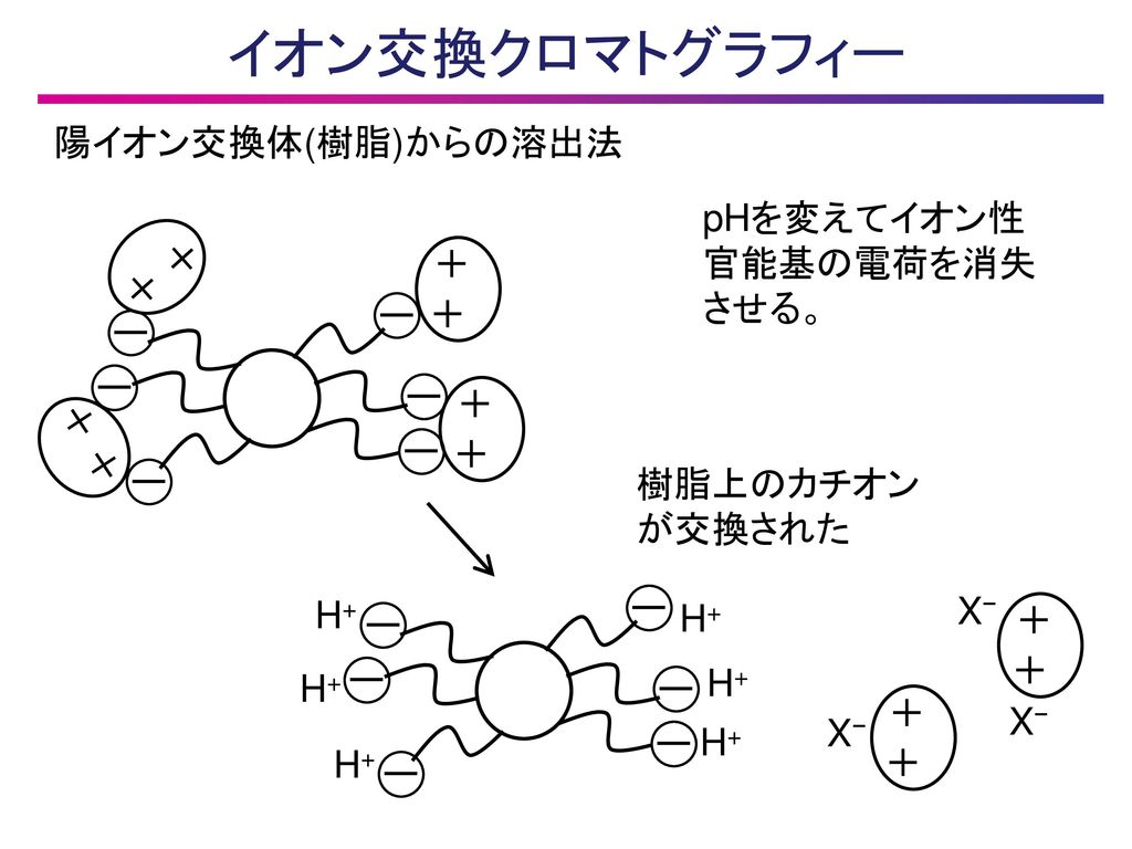 イオン交換クロマトグラフィー 陽イオン交換体(樹脂)からの溶出法 pHを変えてイオン性 官能基の電荷を消失 させる。 ＋ ＋ ー ー ー ー