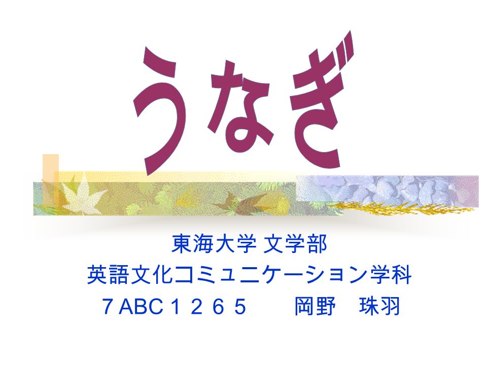 東海大学 文学部 英語文化コミュニケーション学科 ７ Abc １２６５ 岡野 珠羽 しらすうなぎ漁 南方海域で孵化し 冬にな ると黒潮の流れに乗って日 本に近づいたしらすうなぎ を 遡河直前に捕らえます しらすうなぎの養成 しらすうなぎの成長に応じて サバなどの