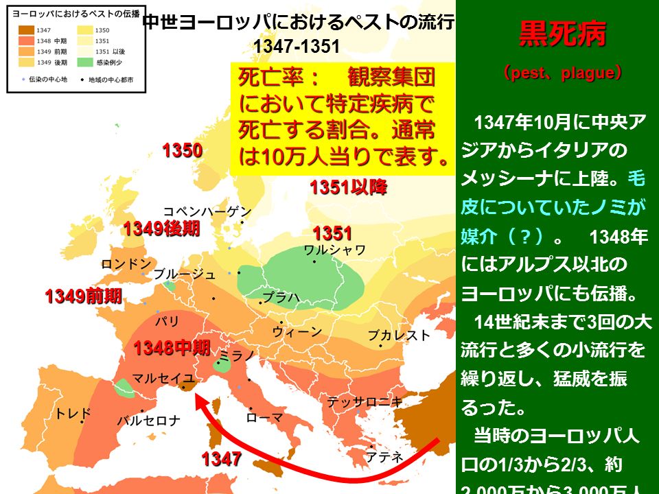 中世ヨーロッパにおけるペストの流行 黒死病 （ pest 、 plague 