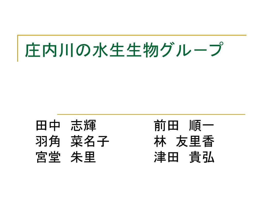 庄内川の水生生物グル プ 田中 志輝 羽角 菜名子 宮堂 朱里 前田 順一 林 友里香 津田 貴弘 Ppt Download