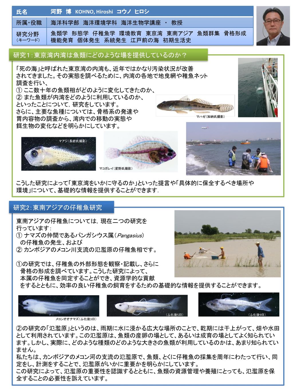 研究１ 東京湾内湾は魚類にどのような場を提供しているのか Ppt Download