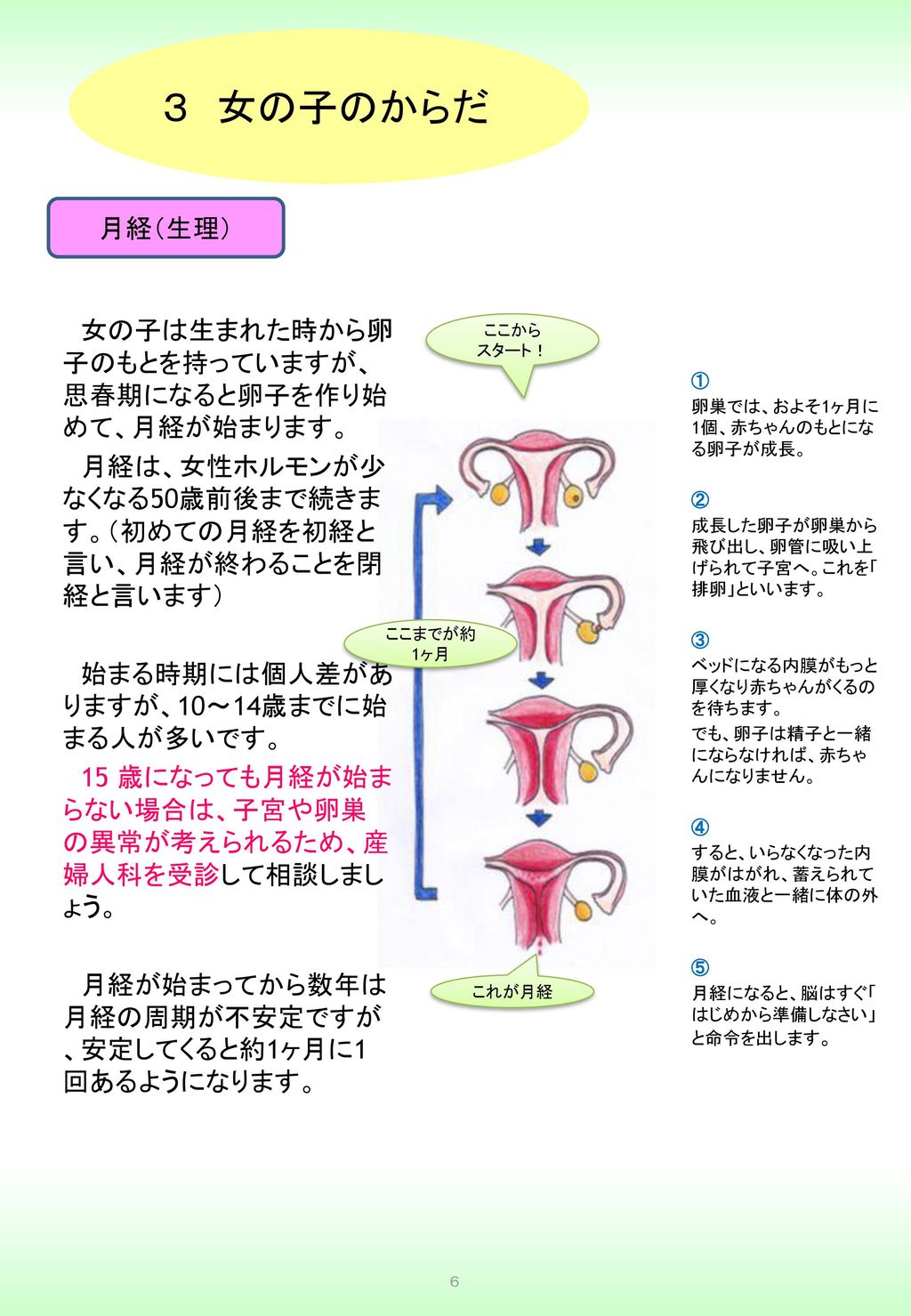 ３ 女の子のからだ 月経 生理 女の子は生まれた時から卵子のもとを持っていますが 思春期になると卵子を作り始めて 月経が始まります Ppt Download