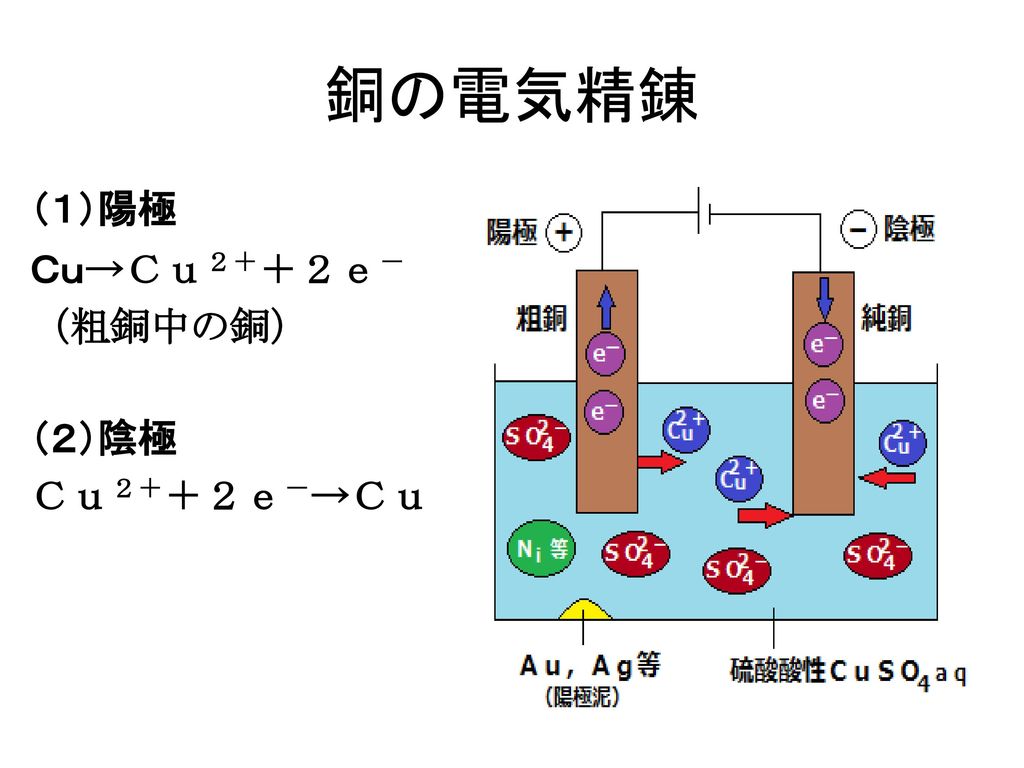 銅の電気精錬 １ 陽極 ｃｕ ｃｕ２ ２ｅ 粗銅中の銅 ２ 陰極 ｃｕ２ ２ｅ ｃｕ Ppt Download