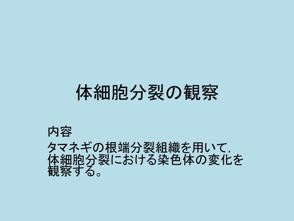 内容 タマネギの根端分裂組織を用いて 体細胞分裂における染色体の変化を観察する Ppt Download