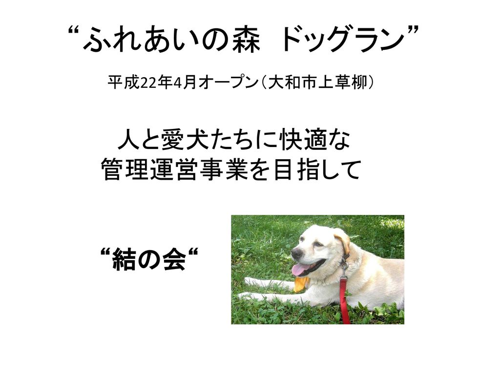 ふれあいの森 ドッグラン 平成22年4月オープン 大和市上草柳 人と愛犬たちに快適な 管理運営事業を目指して 結の会 Ppt Download