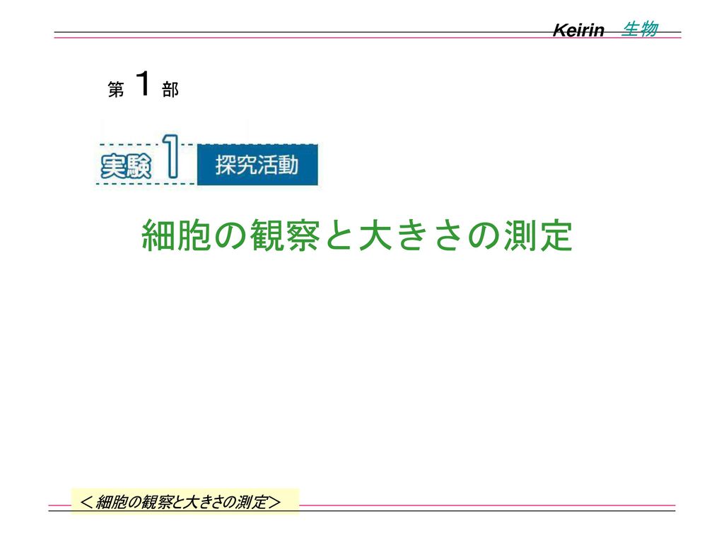 ｋeirin 生物 第１部 細胞の観察と大きさの測定 細胞の観察と大きさの測定 Ppt Download