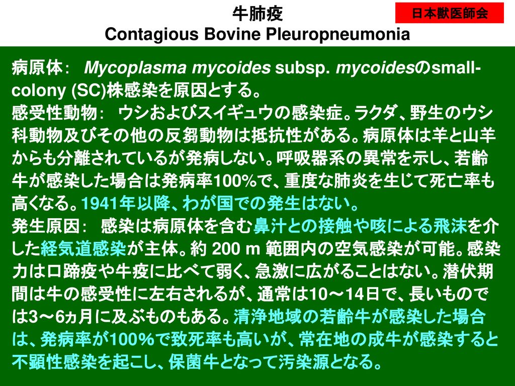 Contagious Bovine Pleuropneumonia Ppt Download