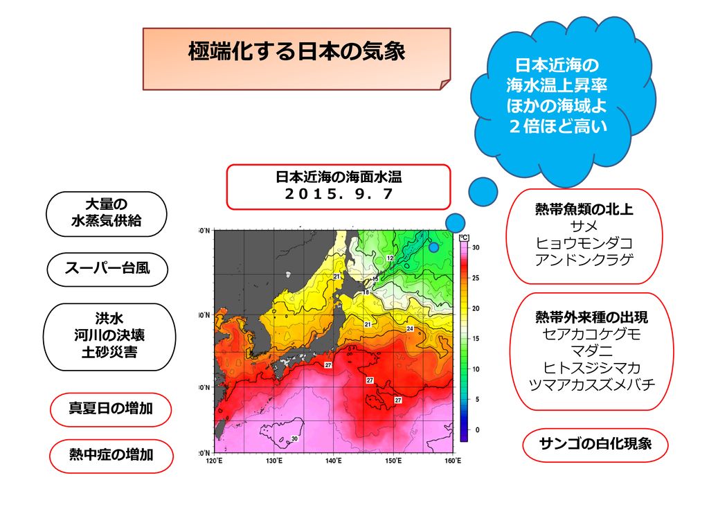 極端化する日本の気象 日本近海の 海水温上昇率 ほかの海域よ ２倍ほど高い 日本近海の海面水温 ２０１５ ９ ７ 大量の 熱帯魚類の北上 Ppt Download