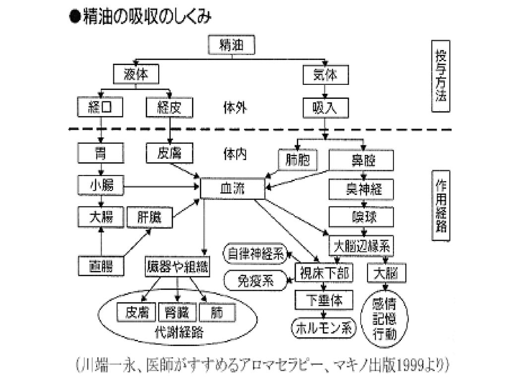 日本アロマ環境協会 認定アドバイザー 佐藤 英之 Ppt Download