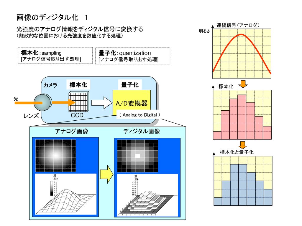 画像のディジタル化 １ A D変換器 光強度のアナログ情報をディジタル信号に変換する 標本化 Sampling Ppt Download