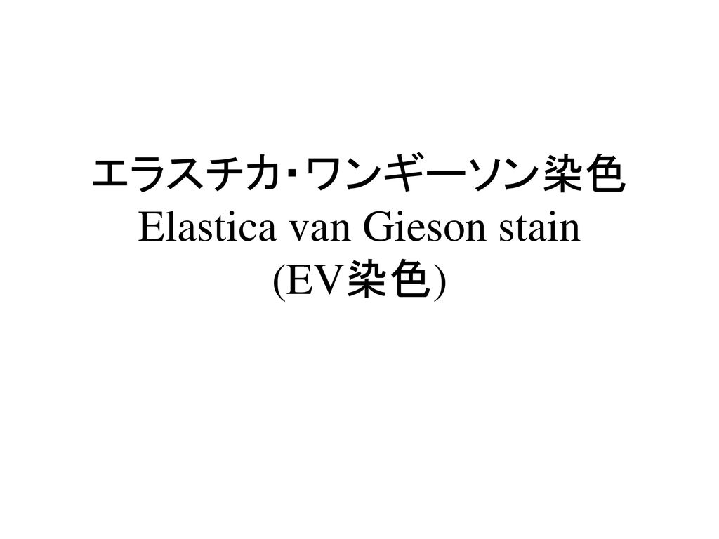 エラスチカ ワンギーソン染色 Elastica Van Gieson Stain Ev染色 Ppt Download