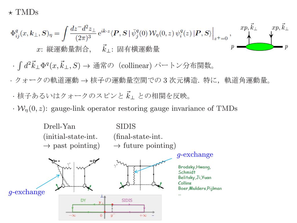 横偏極非対称度の物理 小池裕司 新潟大学 日本物理学会２０１１年秋季大会 弘前大学 シンポジウム 核子構造の３次元的な理解に向けて Ppt Download