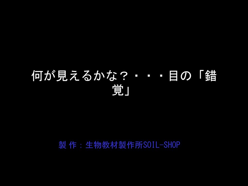 何が見えるかな 目の 錯覚 製 作 生物教材製作所soil Shop Ppt Download