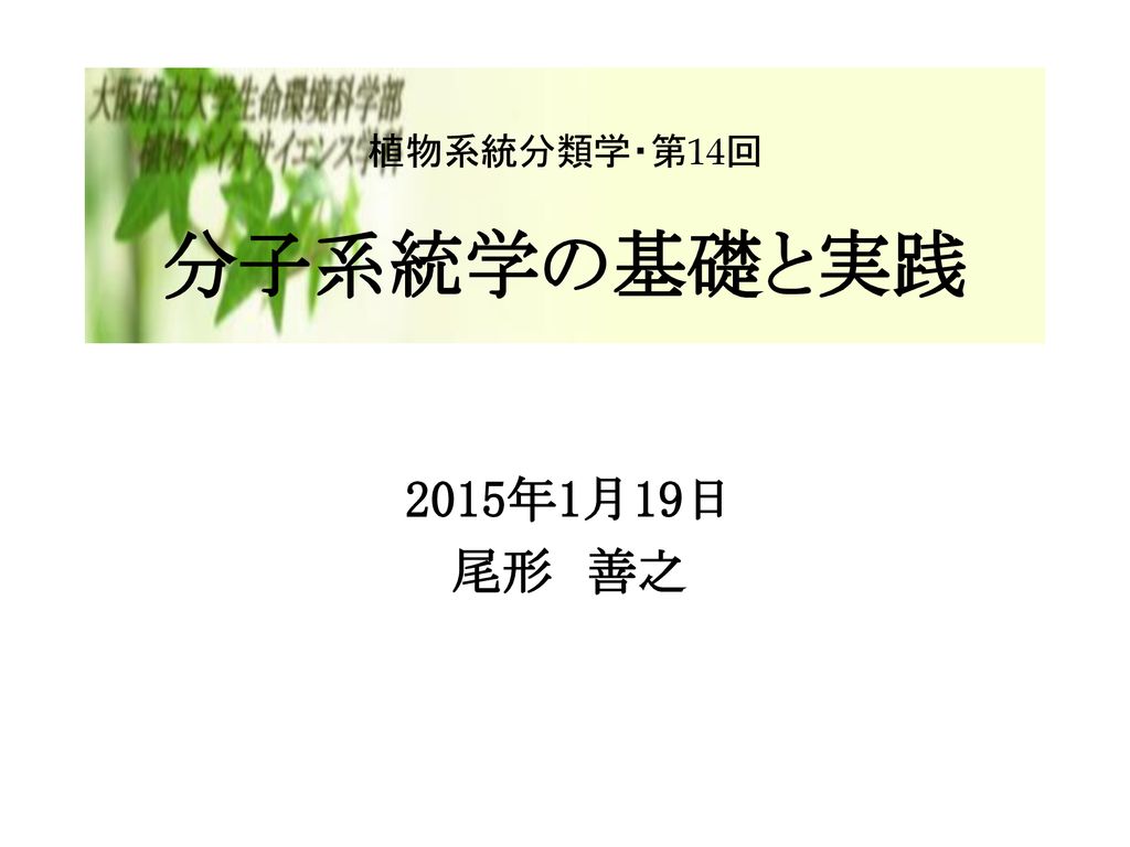 植物系統分類学 第14回 分子系統学の基礎と実践 Ppt Download