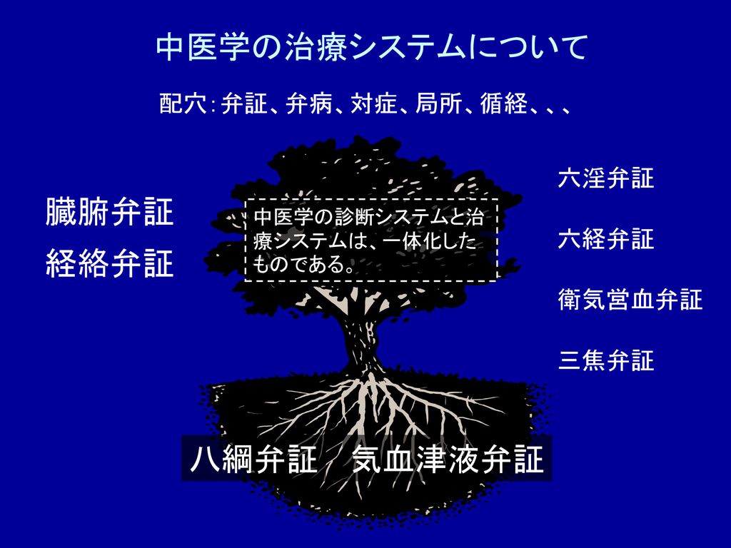 中医学の治療システムについて 臓腑弁証 経絡弁証 八綱弁証 気血津液弁証 配穴 弁証 弁病 対症 局所 循経 六淫弁証 六経弁証 Ppt Download