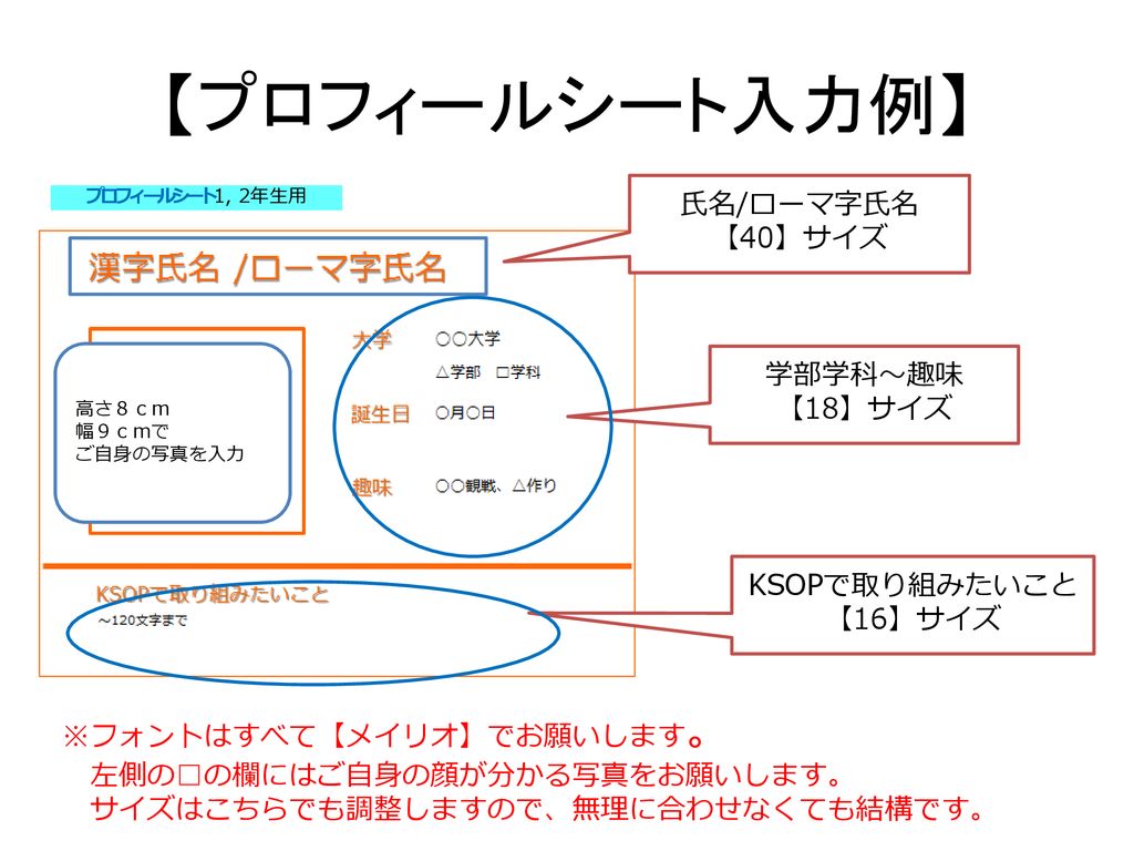 プロフィールシート入力例 氏名 ローマ字氏名 40 サイズ 学部学科 趣味 18 サイズ Ksopで取り組みたいこと 16 サイズ Ppt Download