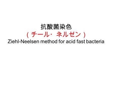 抗酸菌染色 （チール・ネルゼン） Ziehl-Neelsen method for acid fast bacteria.