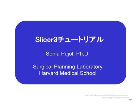 Sonia Pujol, Ph.D. Surgical Planning Laboratory Harvard Medical School