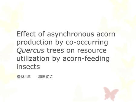 Effect of asynchronous acorn production by co-occurring Quercus trees on resource utilization by acorn-feeding insects 造林4年　　和田尚之.