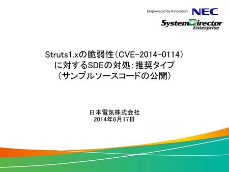 Struts1.xの脆弱性（CVE ） に対するSDEの対処：推奨タイプ （サンプルソースコードの公開）