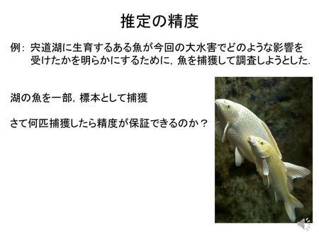 推定の精度 例： 宍道湖に生育するある魚が今回の大水害でどのような影響を 受けたかを明らかにするために，魚を捕獲して調査しようとした．