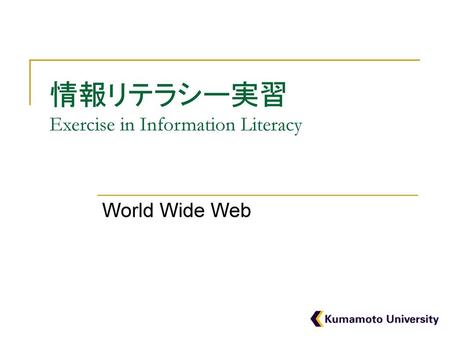 情報リテラシー実習 Exercise in Information Literacy