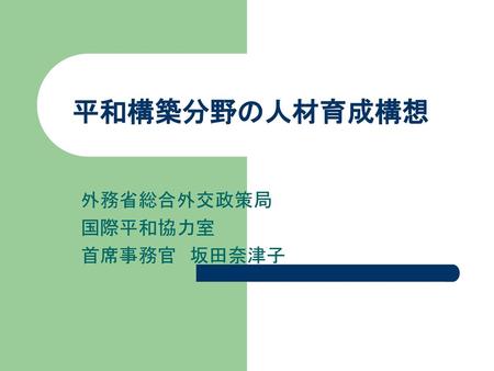 外務省総合外交政策局 国際平和協力室 首席事務官 坂田奈津子