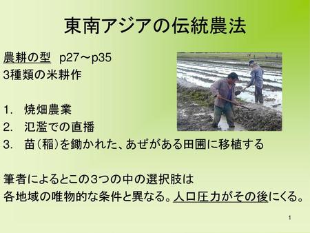 東南アジアの伝統農法 農耕の型 p27～p35 3種類の米耕作 焼畑農業 氾濫での直播 苗（稲）を鋤かれた、あぜがある田圃に移植する