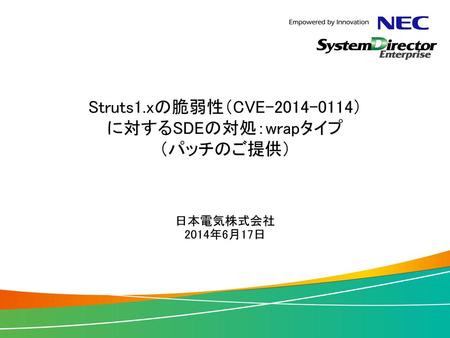 Struts1.xの脆弱性（CVE ） に対するSDEの対処：wrapタイプ （パッチのご提供）