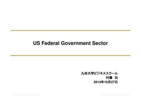 US Federal Government Sector