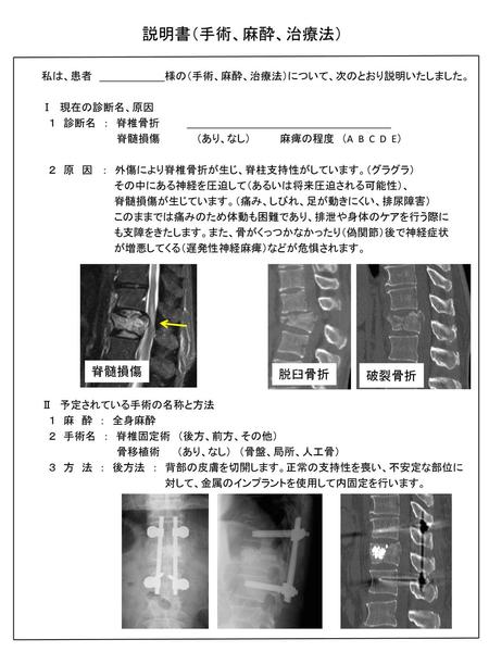 説明書（手術、麻酔、治療法） 脊髄損傷 脱臼骨折 破裂骨折 私は、患者 様の（手術、麻酔、治療法）について、次のとおり説明いたしました。