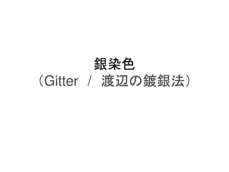銀染色 （Gitter　/　渡辺の鍍銀法）.