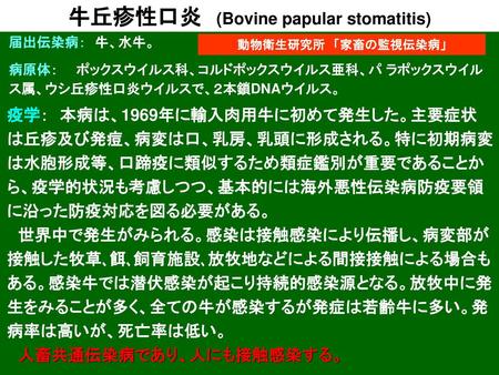 牛丘疹性口炎 (Bovine papular stomatitis)