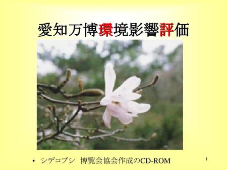 愛知万博環境影響評価 シデコブシ　博覧会協会作成のCD-ROM.