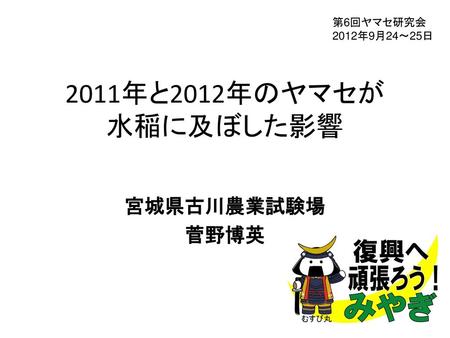第6回ヤマセ研究会 2012年9月24～25日 2011年と2012年のヤマセが 水稲に及ぼした影響 宮城県古川農業試験場 菅野博英.