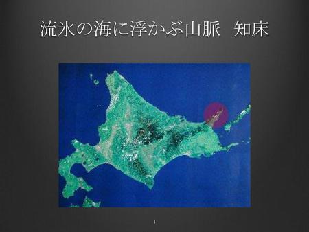 流氷の海に浮かぶ山脈　知床 http://www.rinya.maff.go.jp/hokkaido/siretoko/kyositu/gaiyou/gaiyou.html.