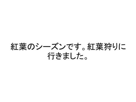 紅葉のシーズンです。紅葉狩りに行きました。