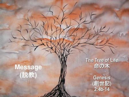 The Tree of Life 命の木 Genesis (創世記) 2:4b-14 Message (説教) Message 説教.